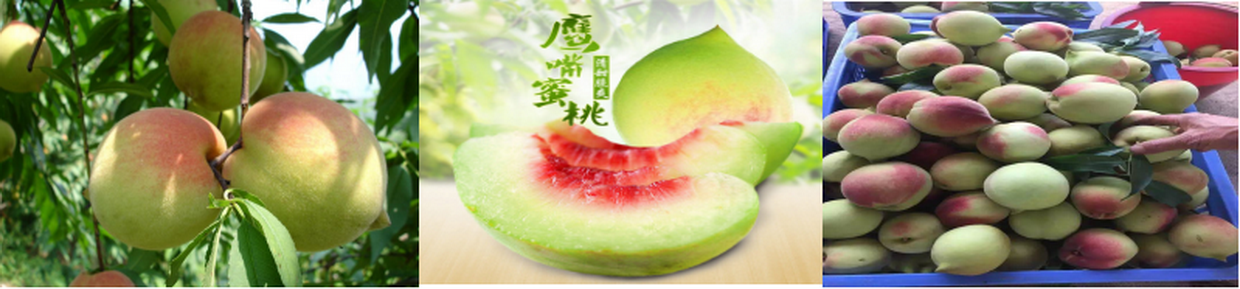 7_缩小大小